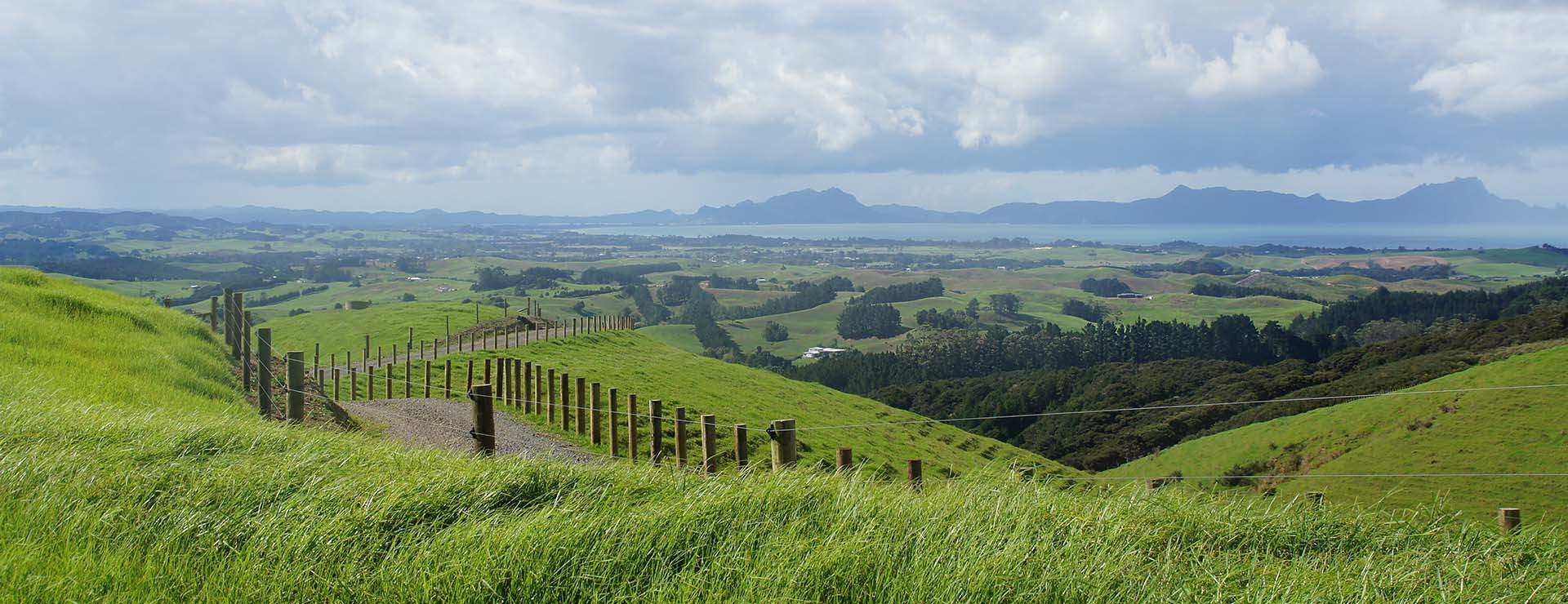  Generation Homes Introducing Durham Grove in Waipu Durham Grove Banner 