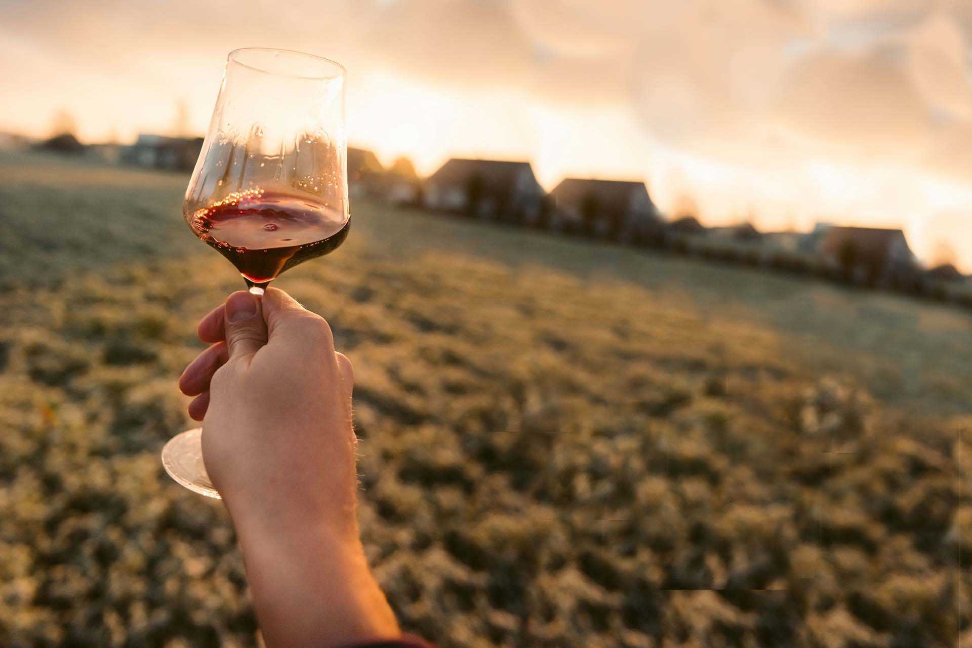  Generation Homes Sundowner Property Investor Session Sundowner wine header 
