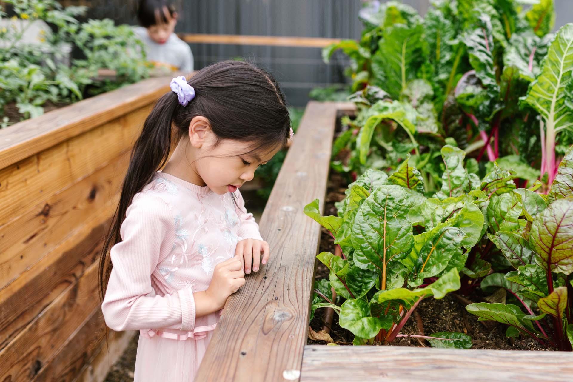 https://www.generation.co.nz/assets/default/images/showHomeImages/Bay-of-Plenty/pexels-rdne-8298445.jpg