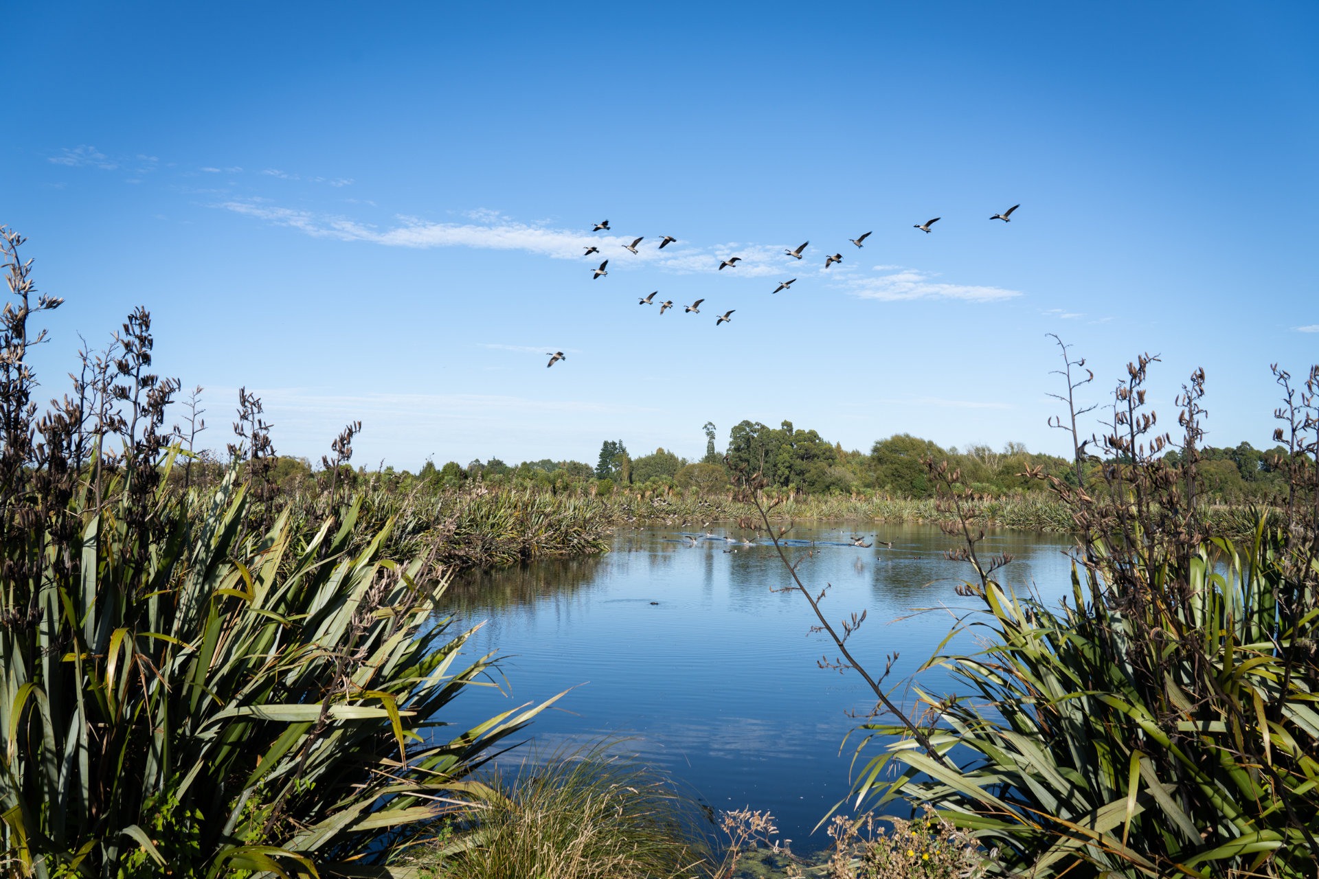  Generation Homes Grayshott Glade, Casebrook Grayshott glade 220226 1764 