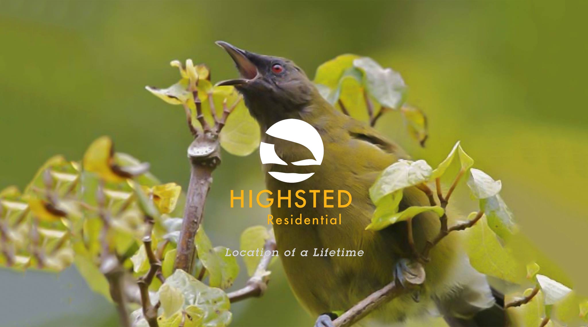  Generation Homes Highsted Residential, Casebrook Highsted bird web 