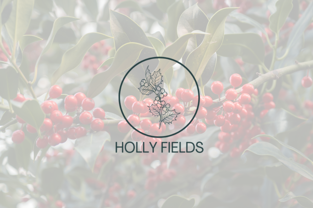  Generation Homes Holly Fields Subdivision main listing page images 10 