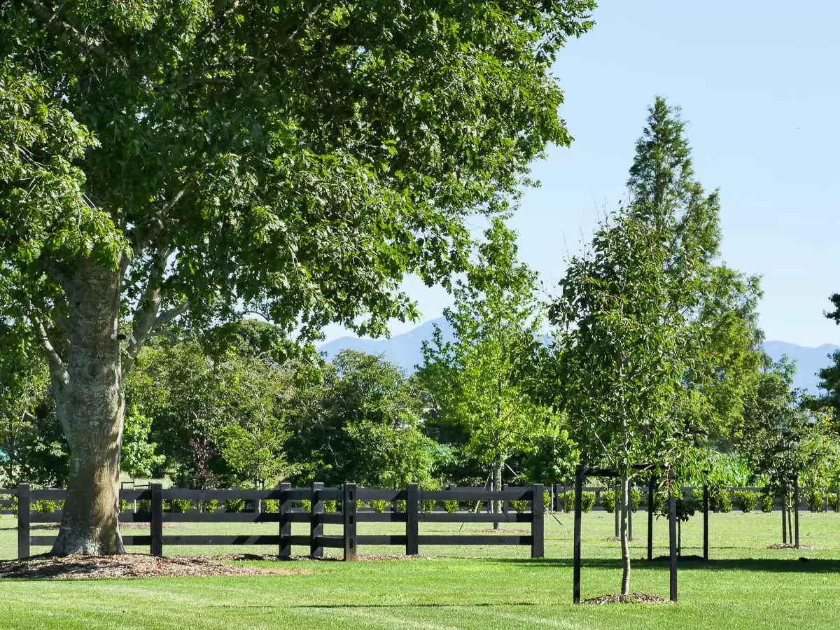  Generation Homes Highgrove Estate, Matamata Picture2 
