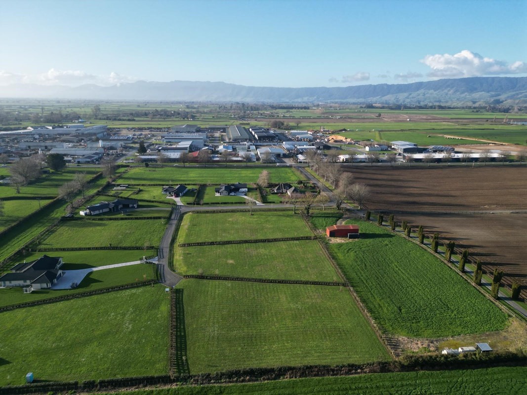  Generation Homes Java Park, Matamata Photo 11 orig 